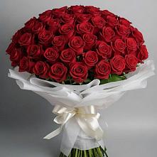 Букет 101 Красная роза Блэк Мэджик в Колпне