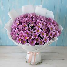 Букет цветов из:  Хризантемы #REPLACE_PRED# Колпне