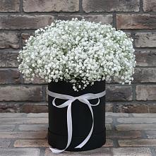 Цветочная композиция из Гипсофила в шляпной коробке в Колпне
