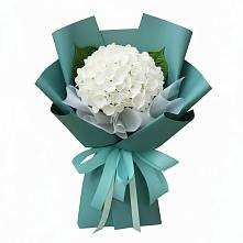 Букет цветов из:  Гортензия #REPLACE_PRED# Колпне